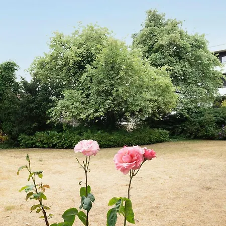 Schlesierweg 8 Moewennest アパート *